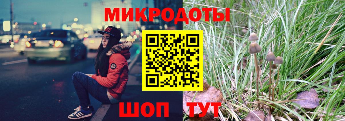 Псилоцибиновые грибы Magic Shrooms  Вход с VPN  Северобайкальск 